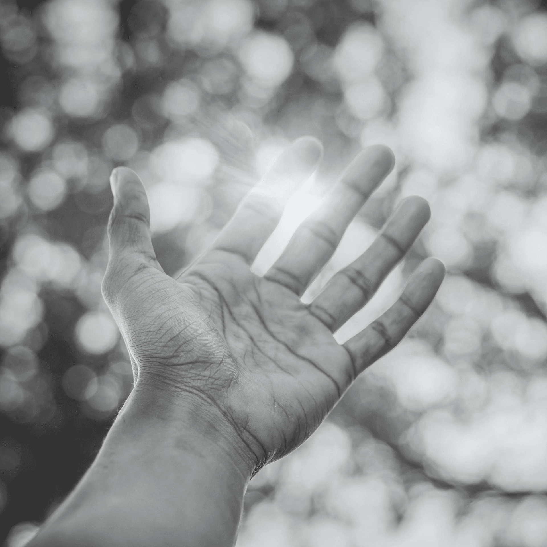 Jeffrey Scott Martin