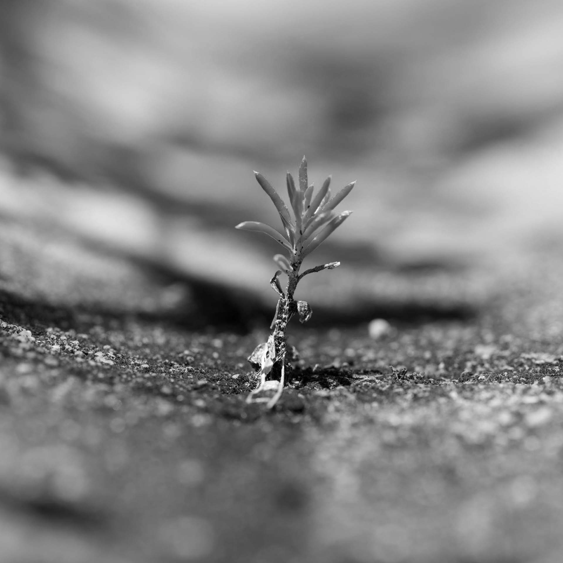 The Unbound Initiative